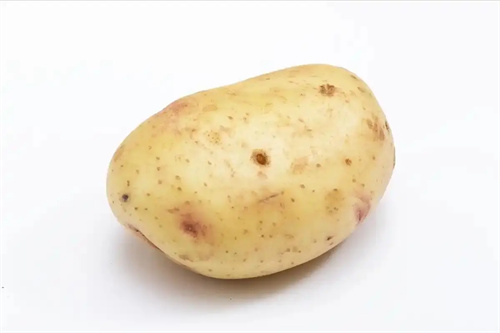 细节介绍