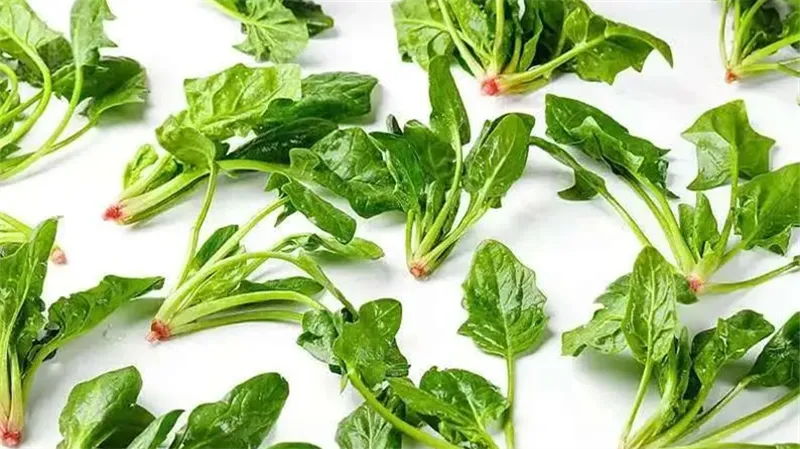 图片细节